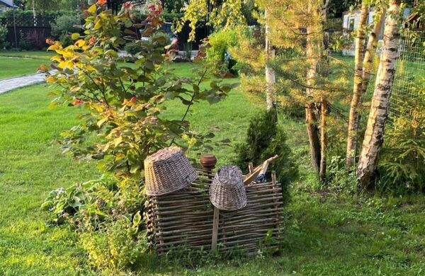 Важные и запретные дела в христианско-народный праздник 31 июля 2024 года